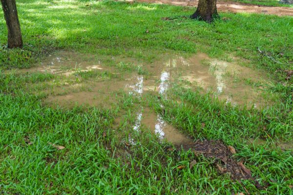 Cost of Storm Water Drainage Service in Simi Valley