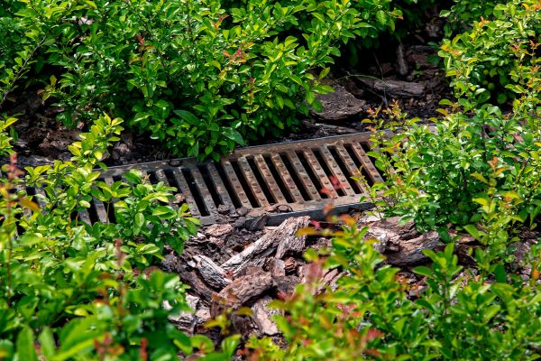 Cost of Underground Drainage Service in Simi Valley