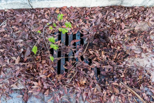 Cost of Yard Drain Unclogging in Simi Valley