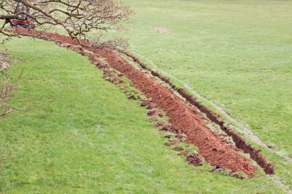 Cost of Swale Installation in Simi Valley
