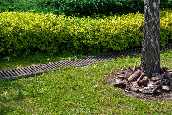 Cost of Residential Landscape Drainage in Simi Valley