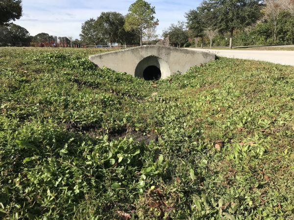 Cost of Swale Drainage Service in Simi Valley