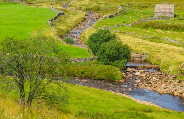 Cost of Swale Repair in Simi Valley